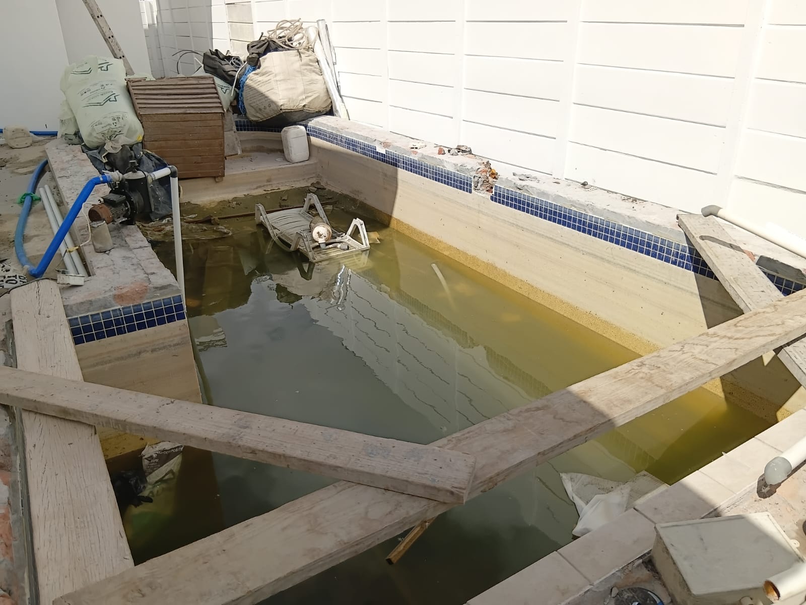 WhatsApp Image 2026-04-02 at 13.05.18 (1) gardening